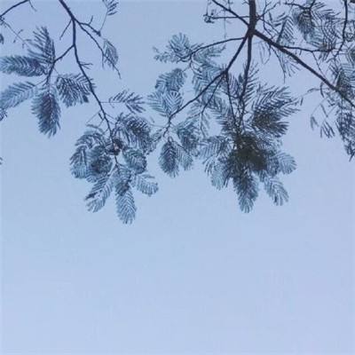 跑跑卡丁车百度版下载